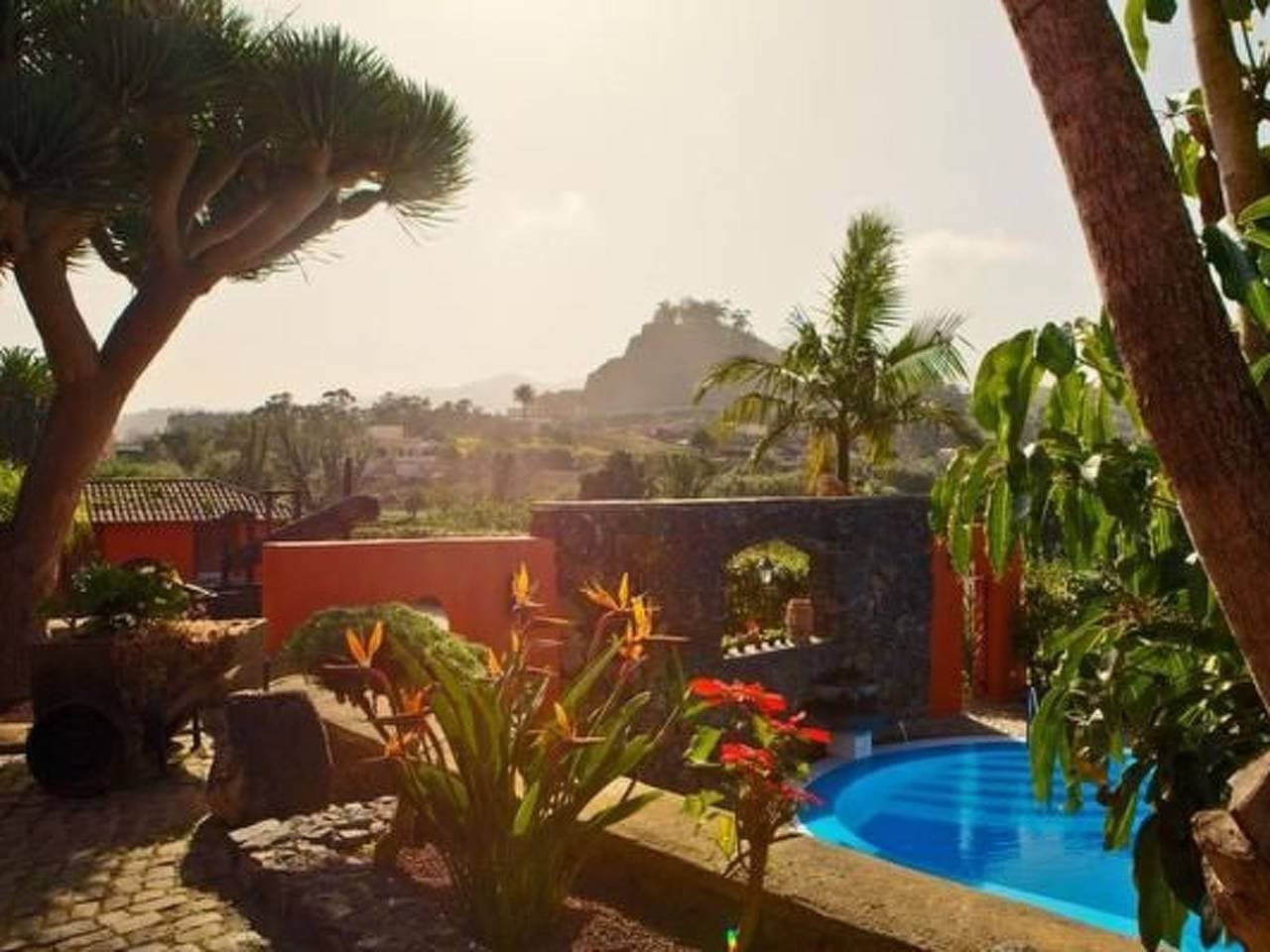 Finca Los Viñedos 1