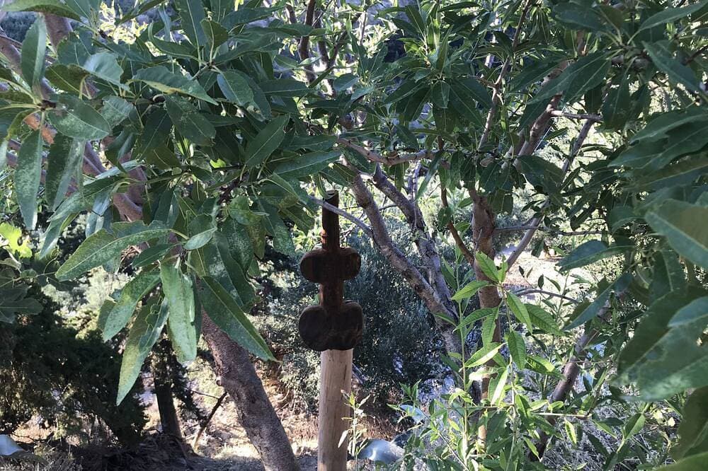 Foto 11 von 30: Romantisches Studio mit fantastischem Pool
