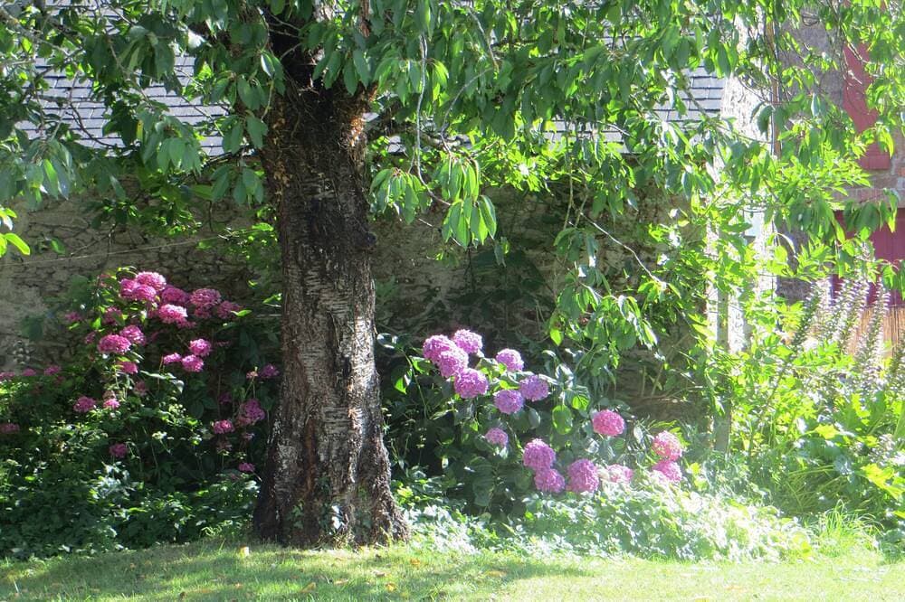 Foto 11 von 22: Einfamilienhaus in der Nähe von Rance, nach Süden ausgerichteter Garten