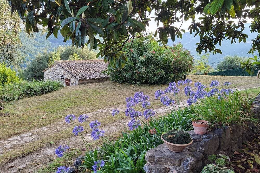 Foto 8 von 17: New - Authentic Provencal country house - 18th century - Tourrettes sur Loup