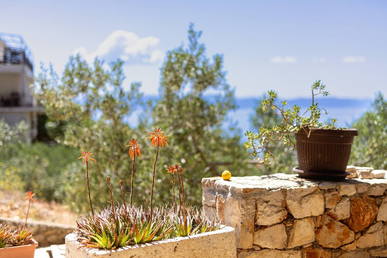 Foto 11 von 39: 2-Zimmer-Ferienwohnung mit Terrasse und Meerblick Bucht Torac, Hvar A-24462-a