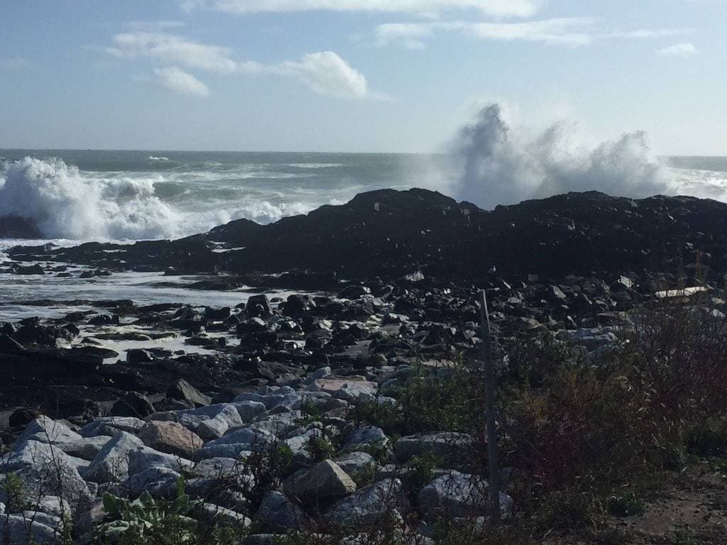 Foto 2 von 47: Charmante, malerische Wohnung 5 min. Gehen Sie zu Perkins Cove