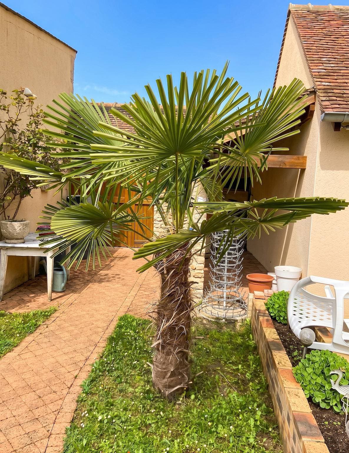 Foto 4 von 16: Charmantes Studio mit Terrasse in Chenou auf 20 m²