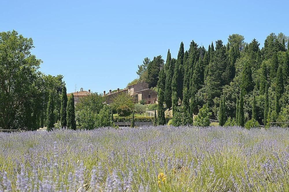 Foto 13 von 19: Casa Ramisia F: A characteristic and welcoming apartment that is part of an ancient country house surrounded by a wonderful park, with Free Wi-Fi.