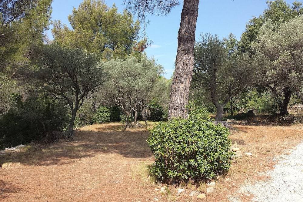Foto 7 von 30: Provencal cottage surrounded by olive trees for lovers of calm and nature.