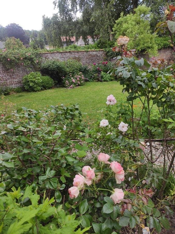 Foto 2 von 5: Double or Twin Room with Garden View