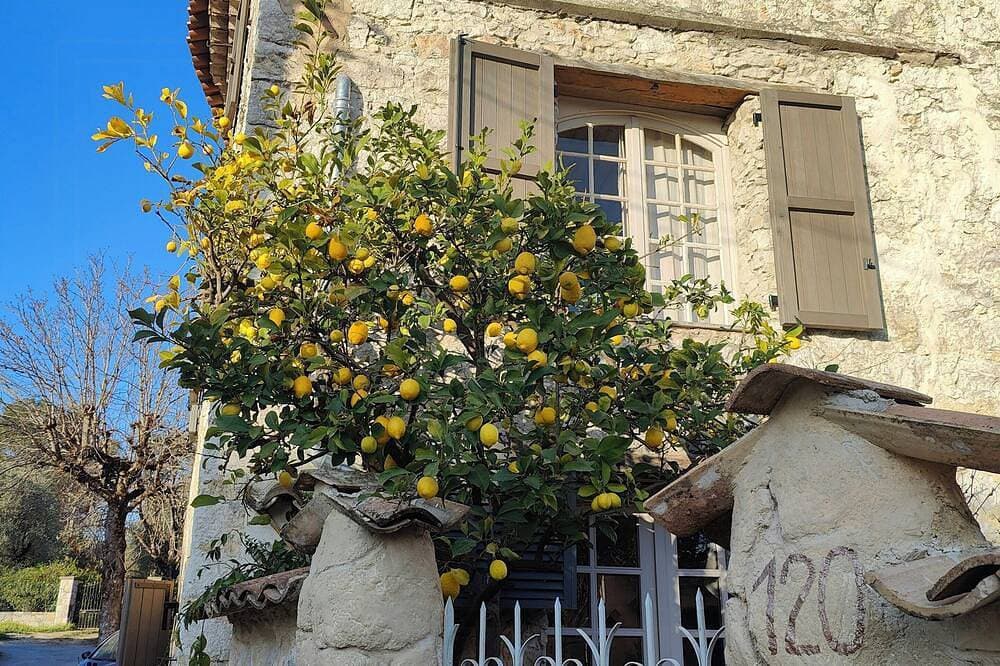 Foto 10 von 22: Provenzalische Wohnung in der Nähe von Saint-Paul de Vence