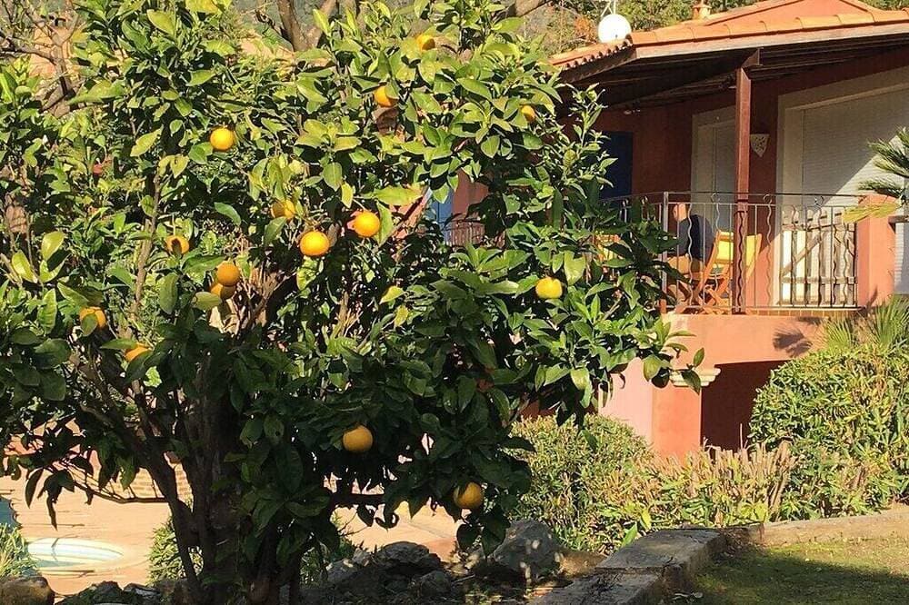 Foto 11 von 25: Eine ganze Villa für sich • Privatpool • Strand 7 Min. zu Fuß • nahe St.-Tropez