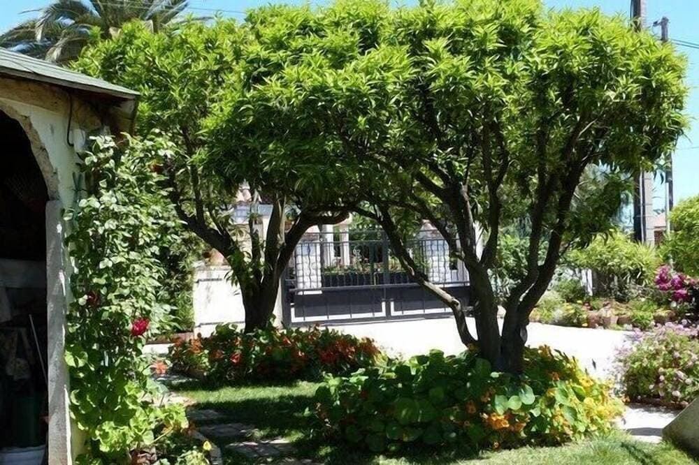 Foto 6 von 21: Cagnes sur mer in Ihrem Studio Villa mit Garten mit Terrasse und parki