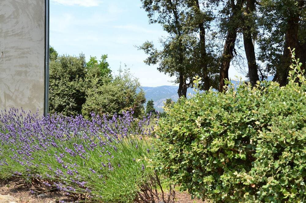 Foto 7 von 30: Ferienhaus zu vermieten in Bédoin am Fuße des Mont Ventoux