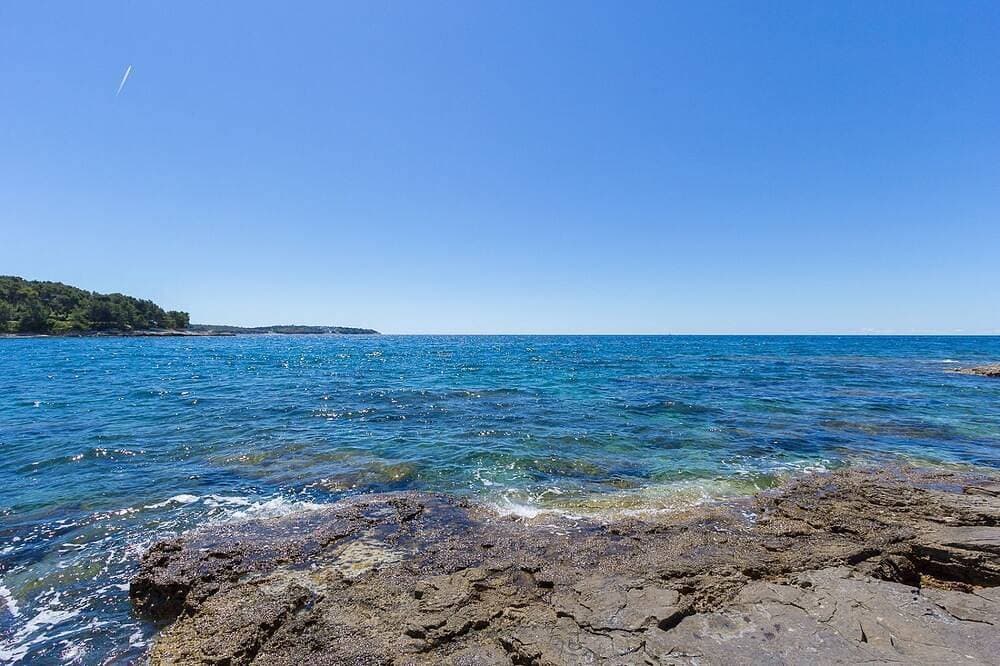 Foto 12 von 18: 50 Meter zum Strand mit Küche, Parkplatz, Haustiere erlaubt, Garten, Grill