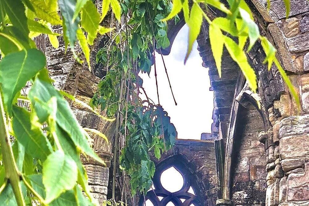Foto 6 von 25: Friedliches Studio, skurril und einzigartig in großem Garten. Nahe Strände, Golfplätze.