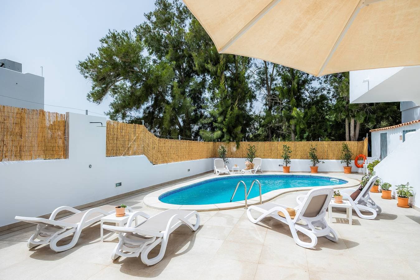 White suites 3 1