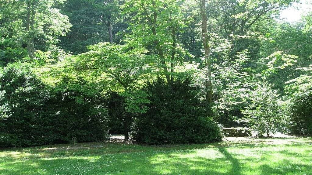 Rustikale River Cabin, Charming Riverfront, Hottub, 2 Steinkamine, Dock, Ansichten 1