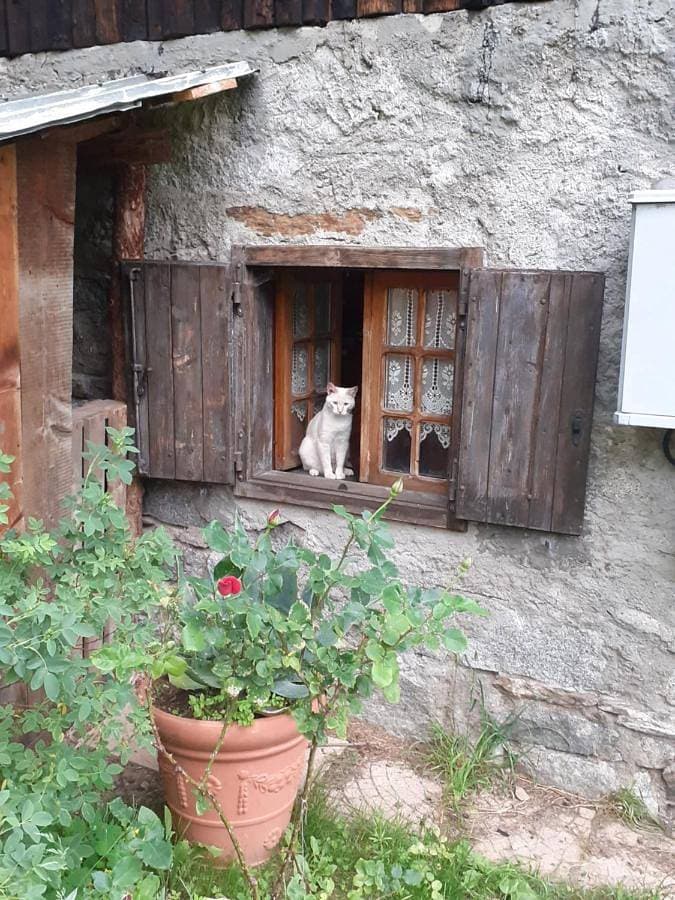 Foto 5 von 21: Apartment - Ground Floor