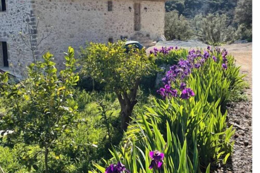 Foto 6 von 12: Nature gite - Provence