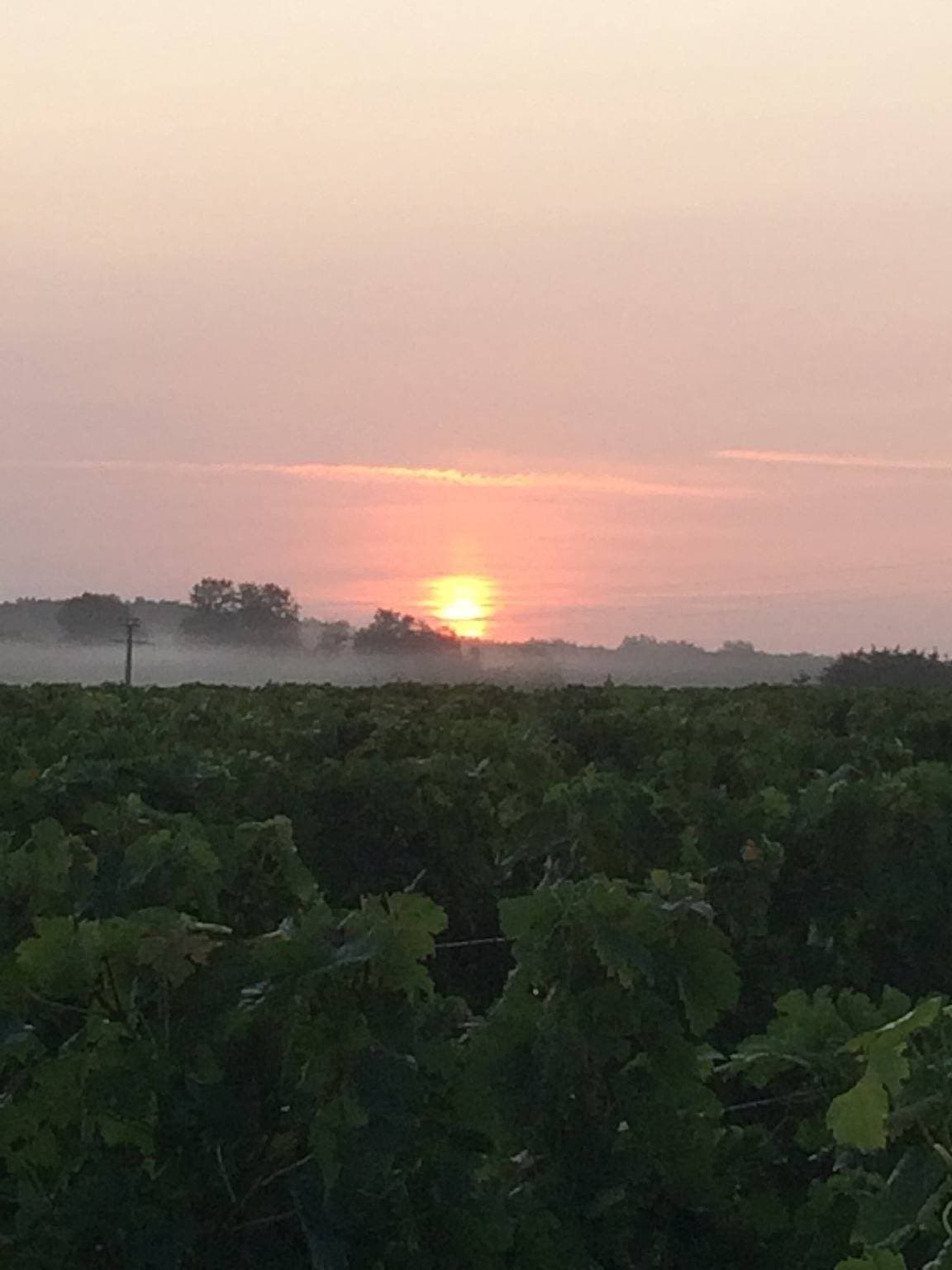 Foto 10 von 10: Gästehaus 'Au Plus Proche Des Vignes' mit privater Terrasse und WLAN