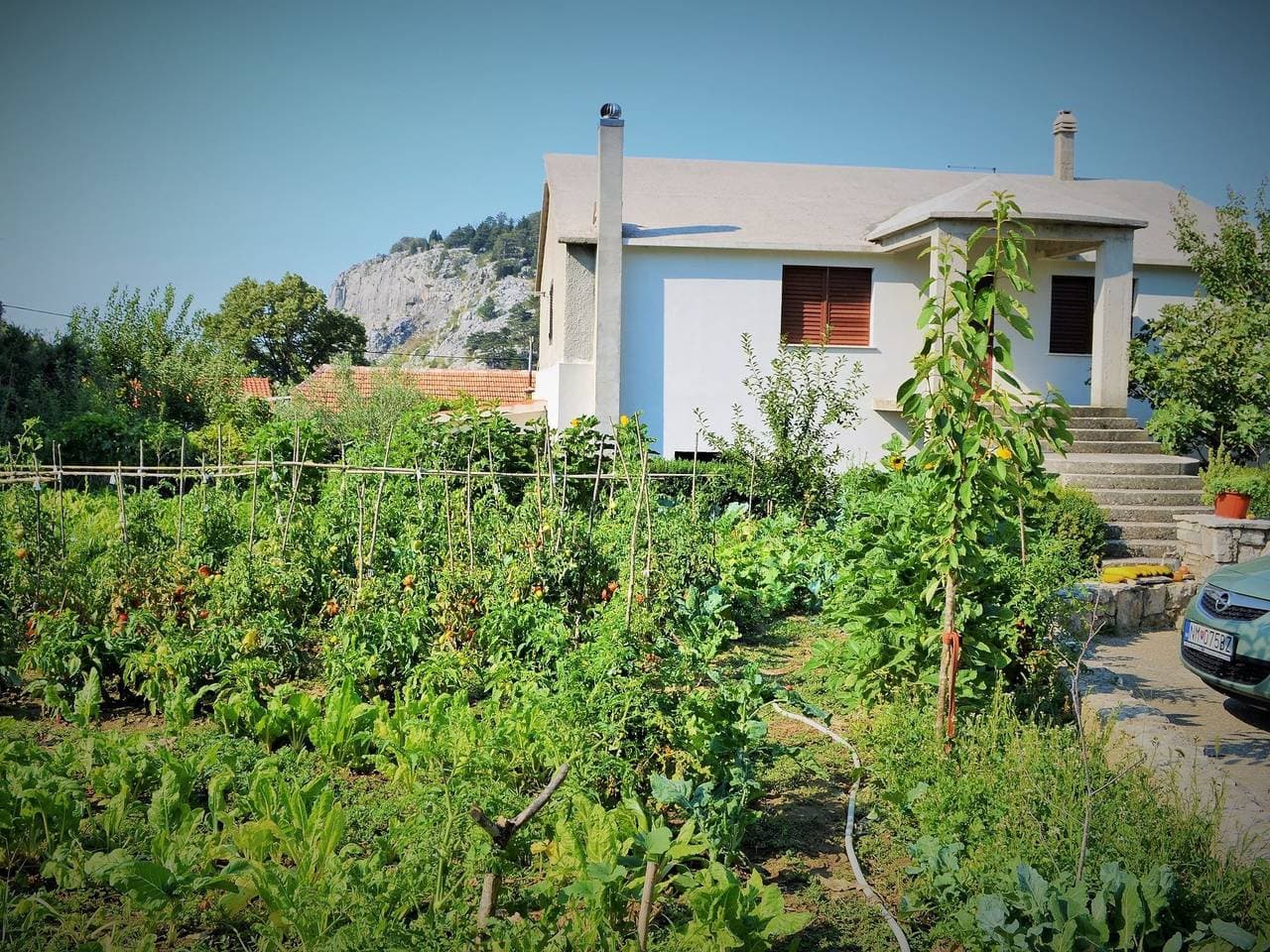 Gemütliches Appartement in Gata mit schönem Garten 1
