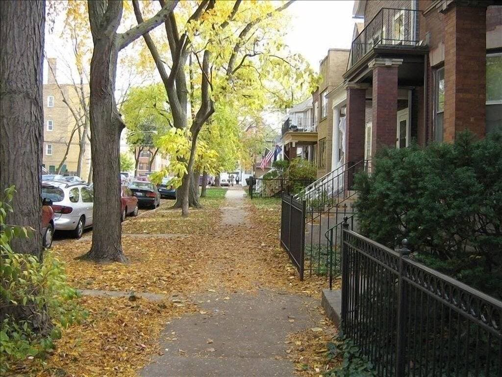 Foto 11 von 46: Großartige Lage, schöne, freundliche Andersonville Nachbarschaft
