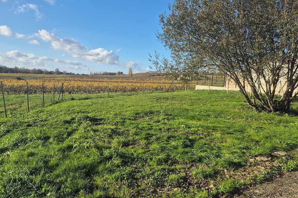 House in the heart of the vineyards 1