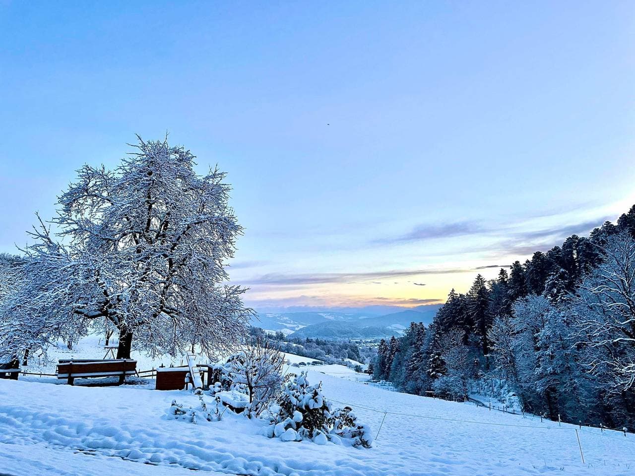 Foto 6 von 37: Ferienwohnung Bergquelle mit Bergblick, privater Terrasse und Wi-Fi
