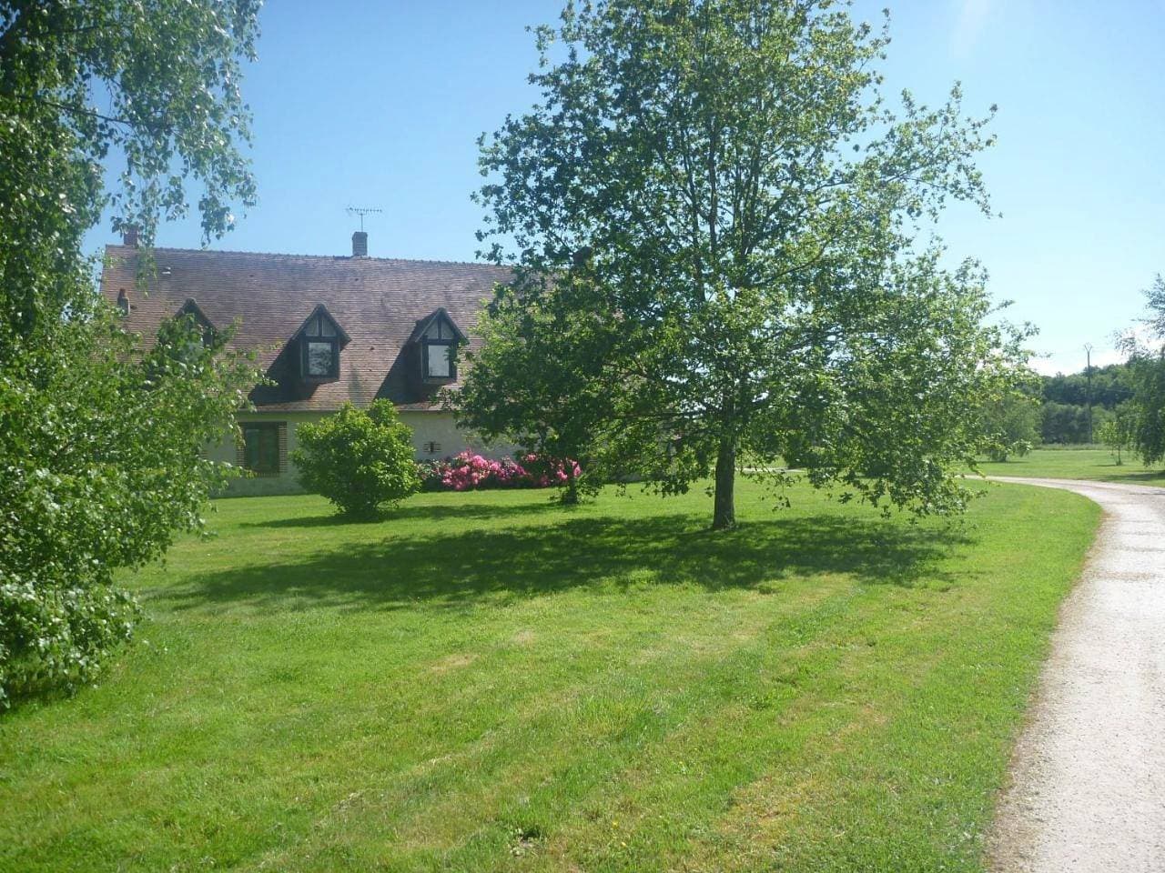 Foto 3 von 8: King Room with Garden View