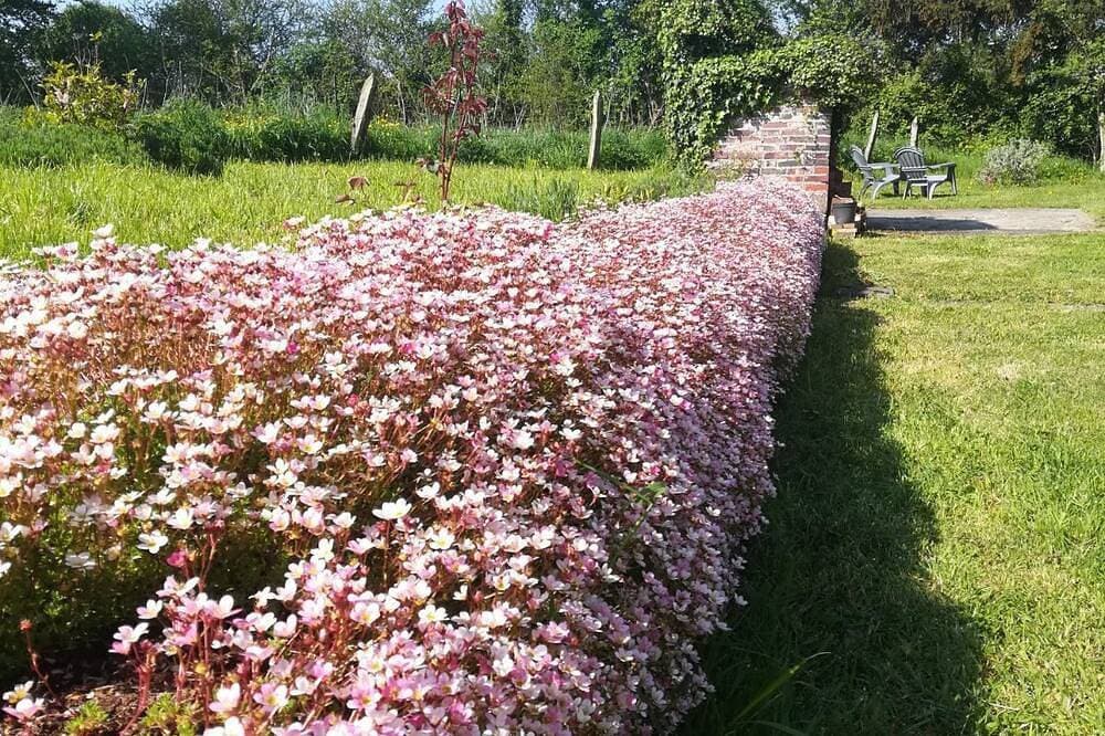 Foto 8 von 29: Perfektes Refugium in ländlicher Umgebung und doch nur 10 Gehminuten vom Dorf entfernt.