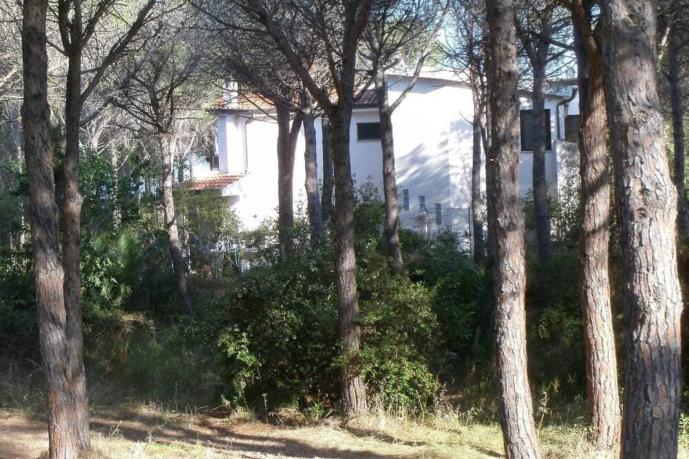 Foto 12 von 30: La Pigna Wohnung mit Blick auf den Strand (5 Plätze)