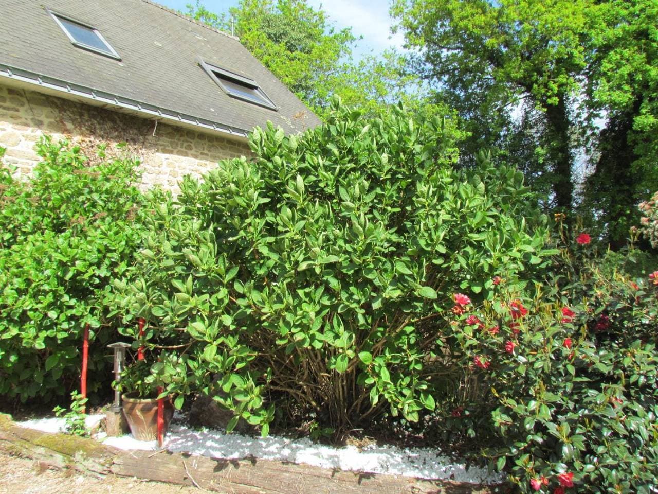 Foto 12 von 23: Gite Du Verger