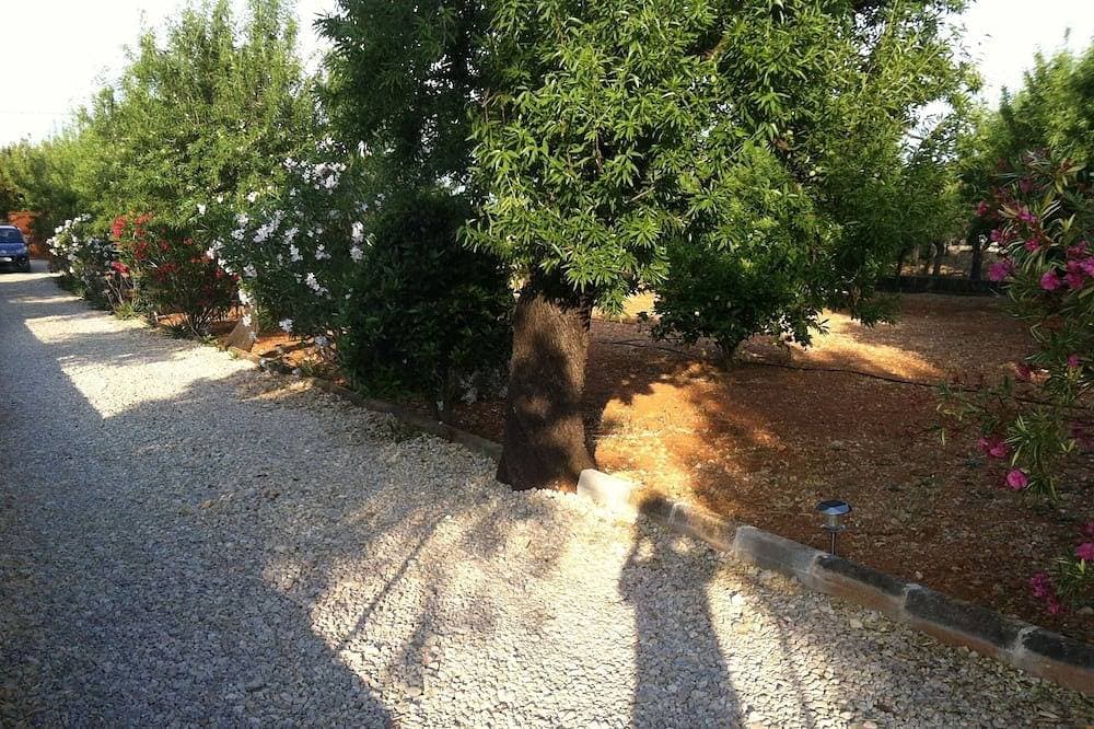 Foto 13 von 23: Haus auf der Insel Mallorca, in einer grünen