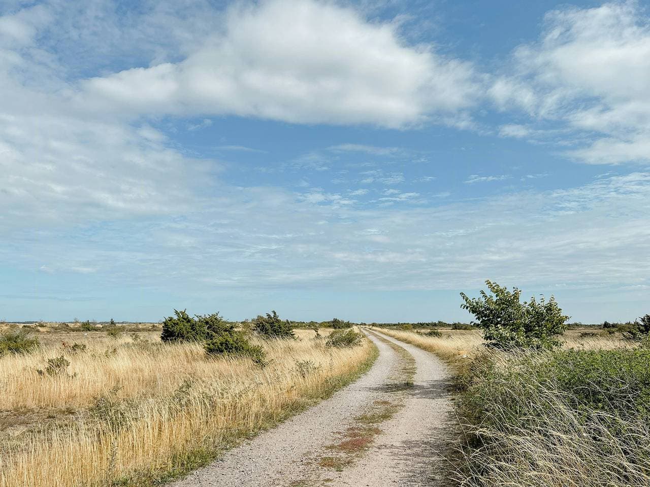 Foto 2 von 24: Ländliche A-Haus-Idylle auf Öland mit herrlicher Aussicht