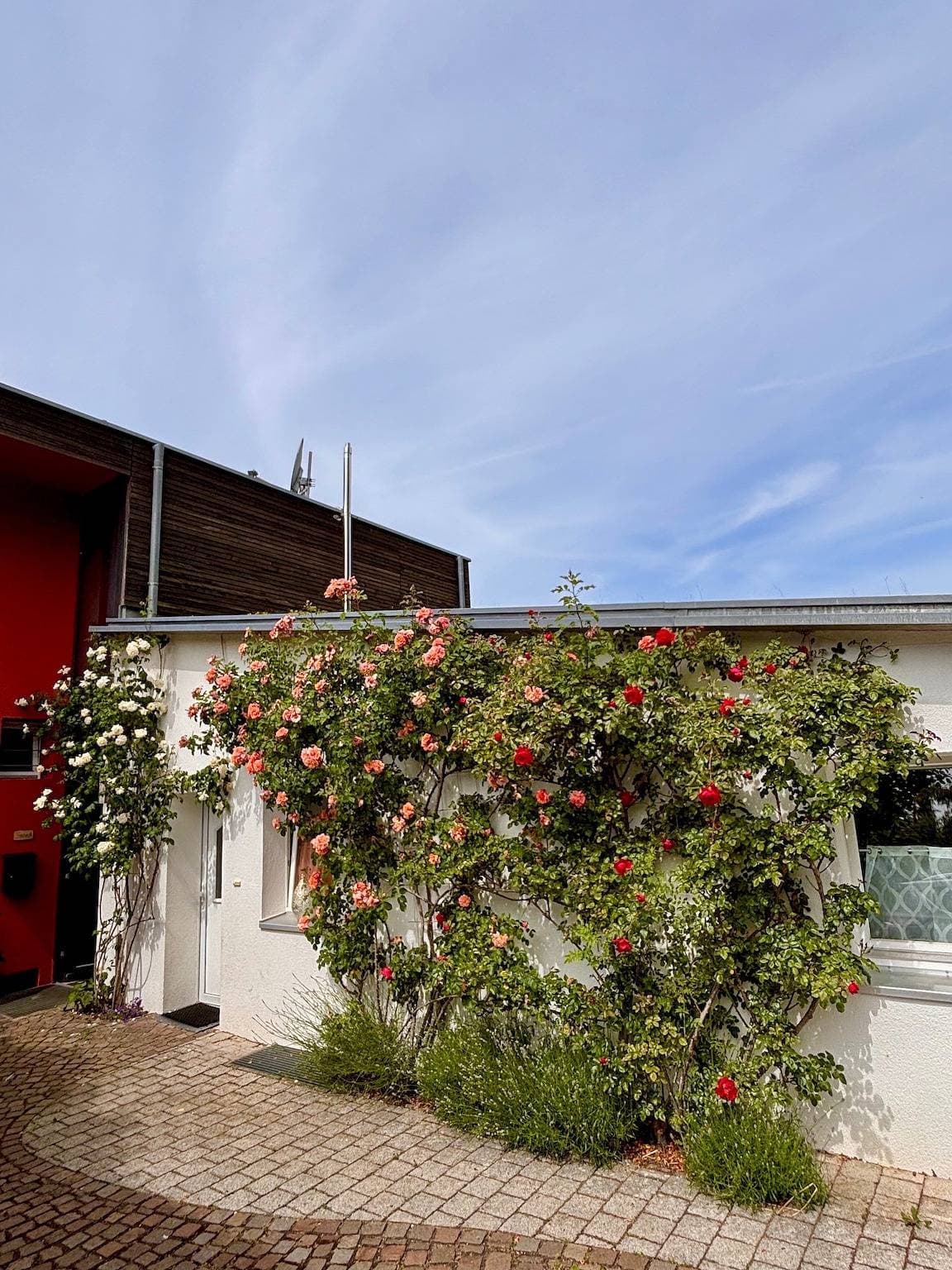 Ferienwohnung Rosenrot 1