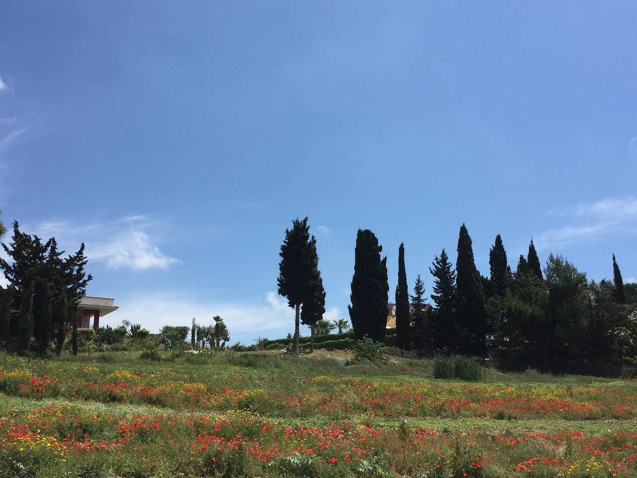 Foto 10 von 30: Pittoreske Villa in Sciacca mit Meerblick und Garten