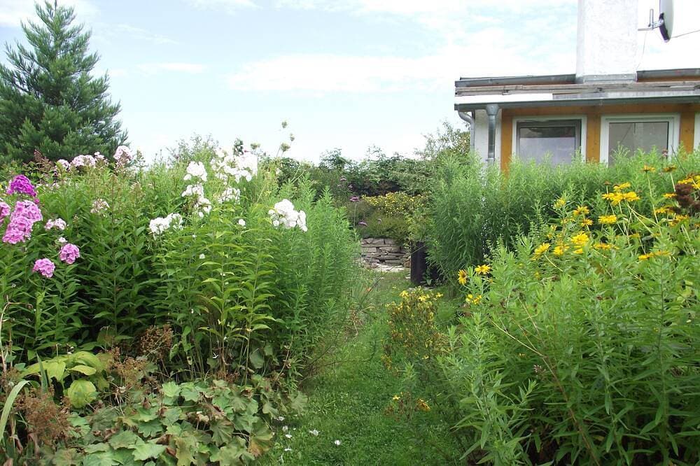 Foto 8 von 21: Schönes Ferienhaus mit großem Garten