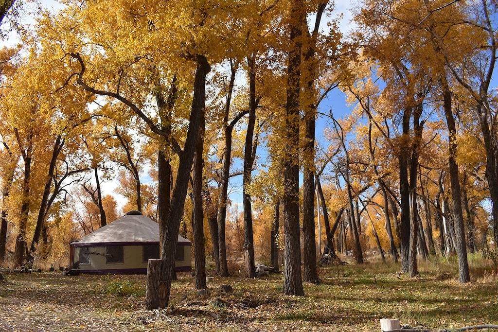 Foto 2 von 41: Die Grove Yurt ist eine primitive Wohnsituation direkt am Fluss