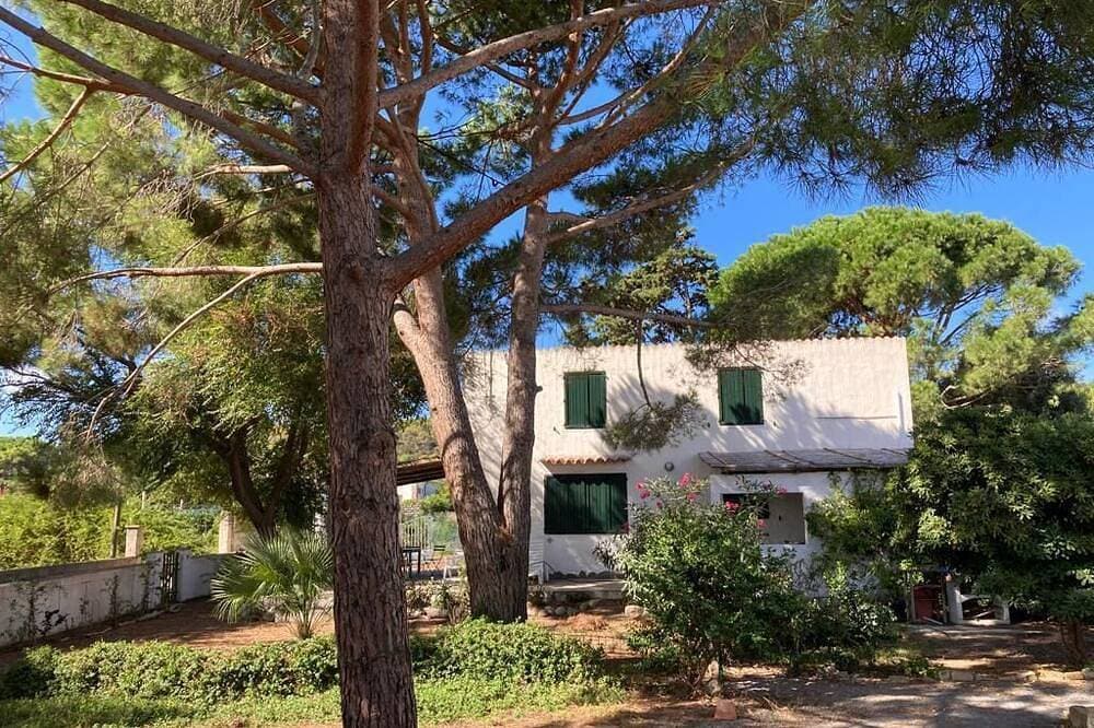 Foto 10 von 23: Kleine Villa am Meer 10 Minuten zu Fuß von Carloforte