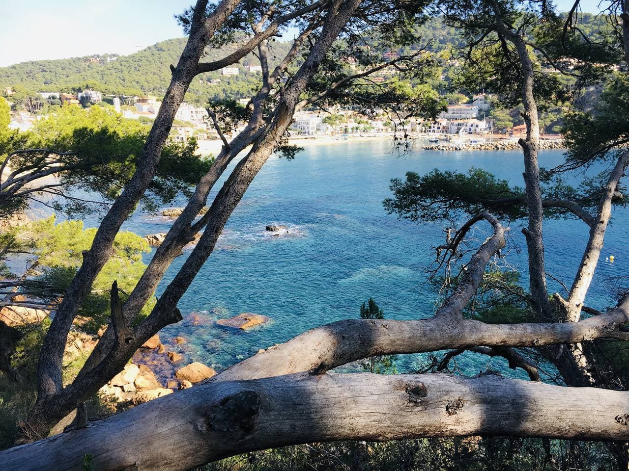 Foto 12 von 16: Einfache Wohnung nahe Strand mit kostenlosem WLAN und Haustieren auf Anfrage