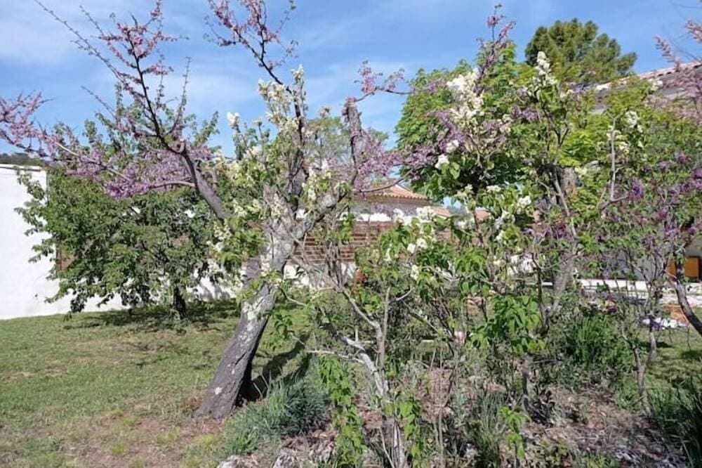 Foto 8 von 30: Le Gîte La Maison De Papou Le Tilleul