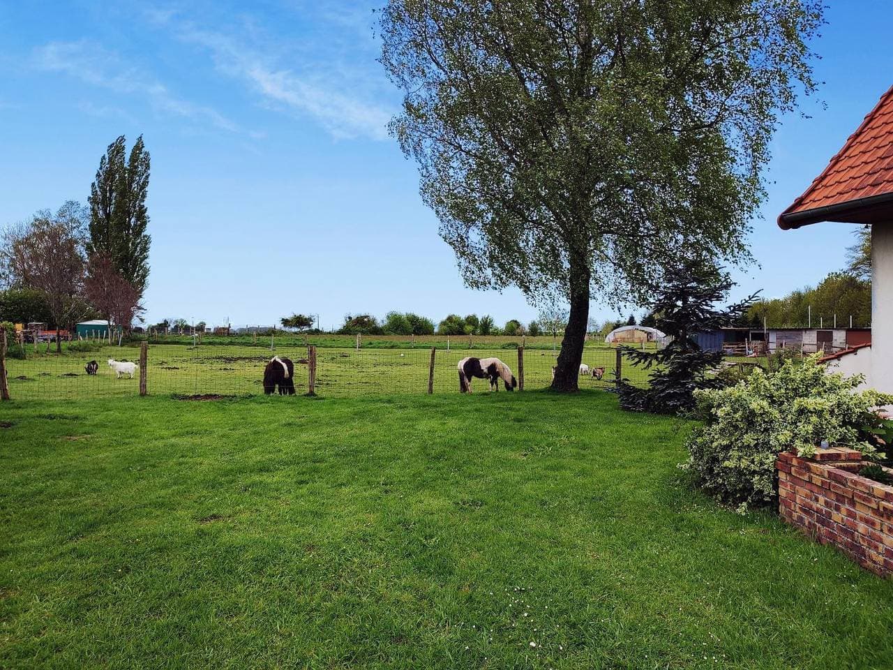 Foto 3 von 35: Gîtes de France® - Le Cottage des Quatre Vents