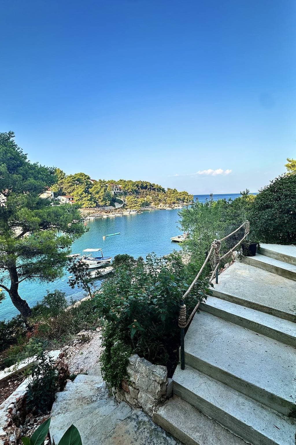 Foto 9 von 42: 1-Zimmer-Ferienwohnung am Strand Basina, Hvar A-24120-b