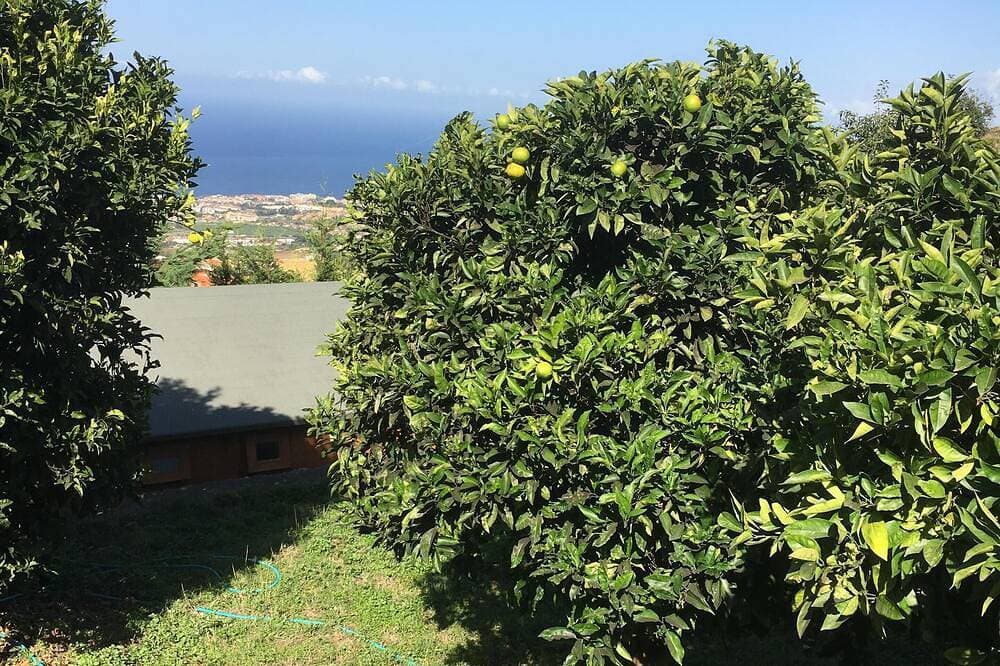 Foto 11 von 30: Wunderschönes Blockhaus auf einer ruhigen kanarischen Finca, umgeben von Avocados und Reben