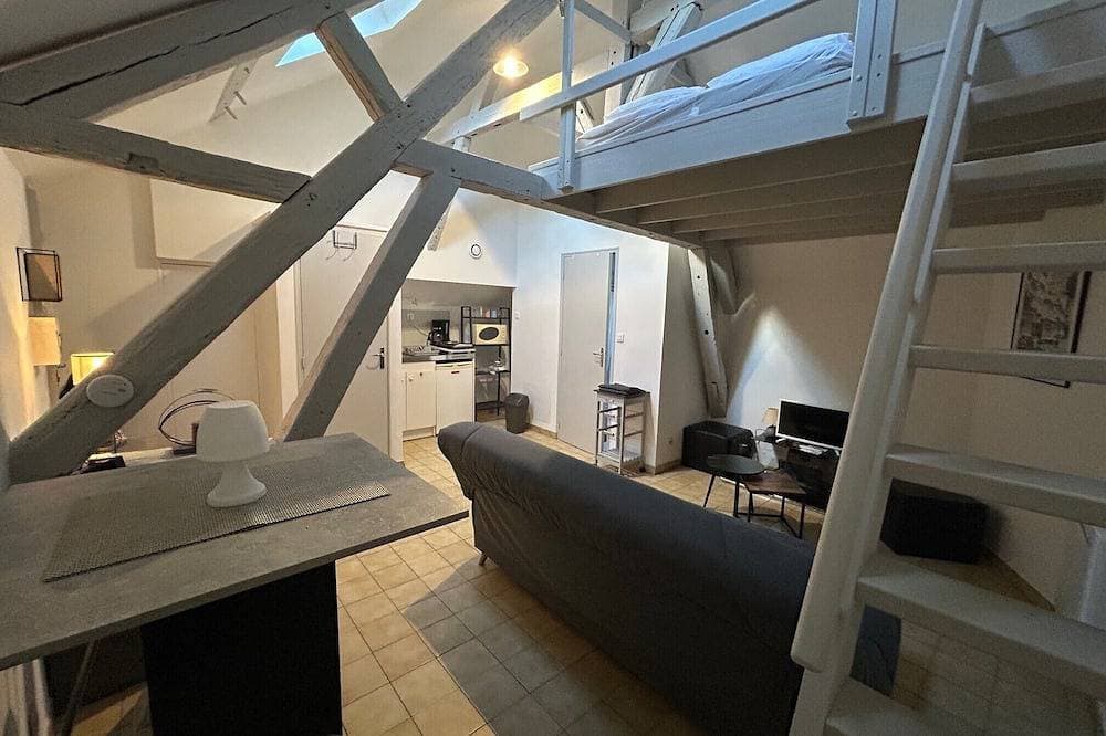 Downtown apartment - Drouaise - mezzanine - sleeps 4 1