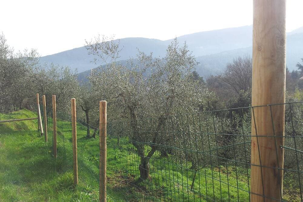 Foto 6 von 30: Casa Elena - Einfamilienhaus mit umzäuntem Garten und Pool zur exklusiven Nutzung