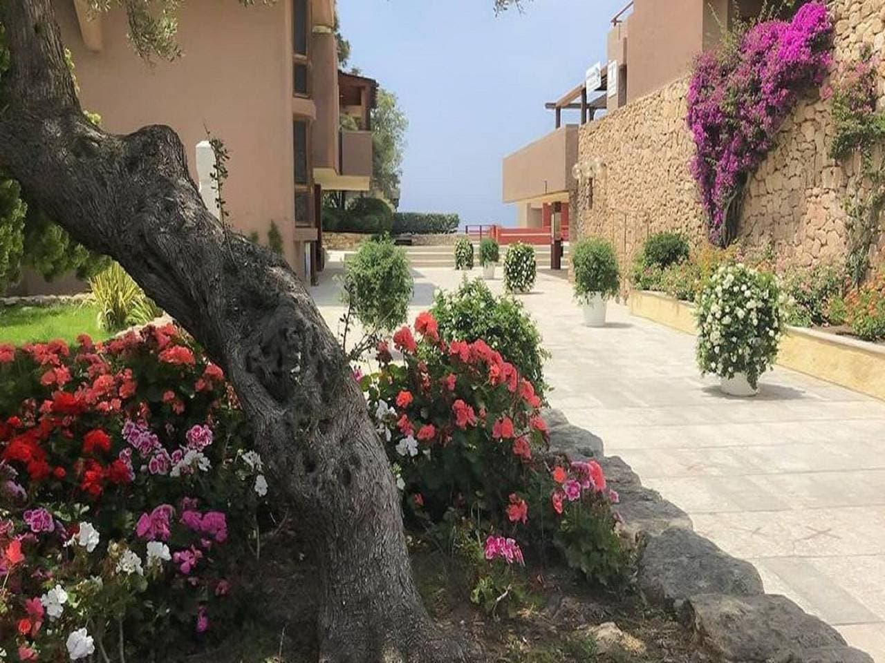 Foto 11 von 35: Ferienwohnung in Olbia mit Meerblick