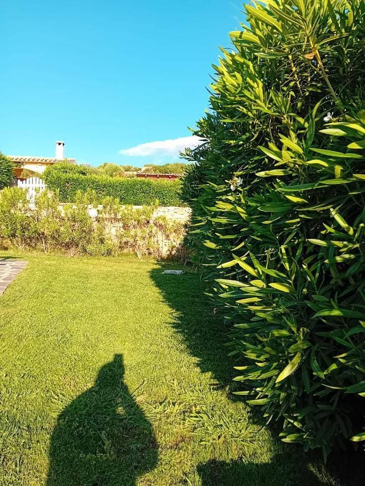 Foto 11 von 42: Villa with Sea View