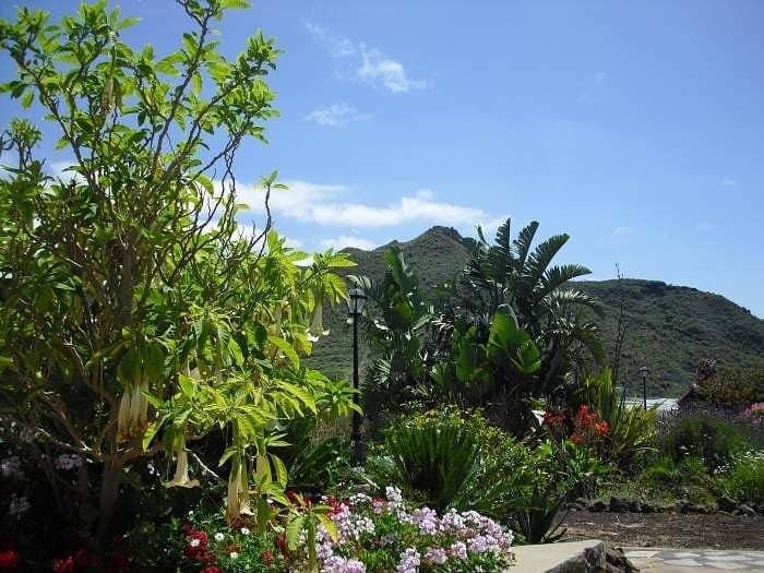 Foto 8 von 25: Apartment auf großer Finca