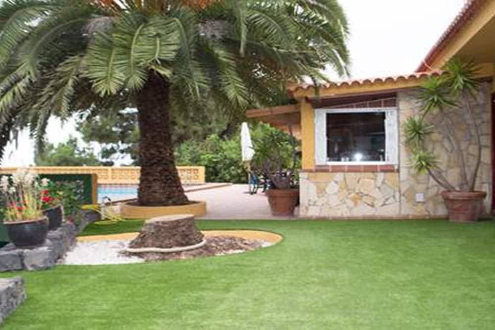 Foto 8 von 30: Finca im Norden Teneriffas / Finca im Norden