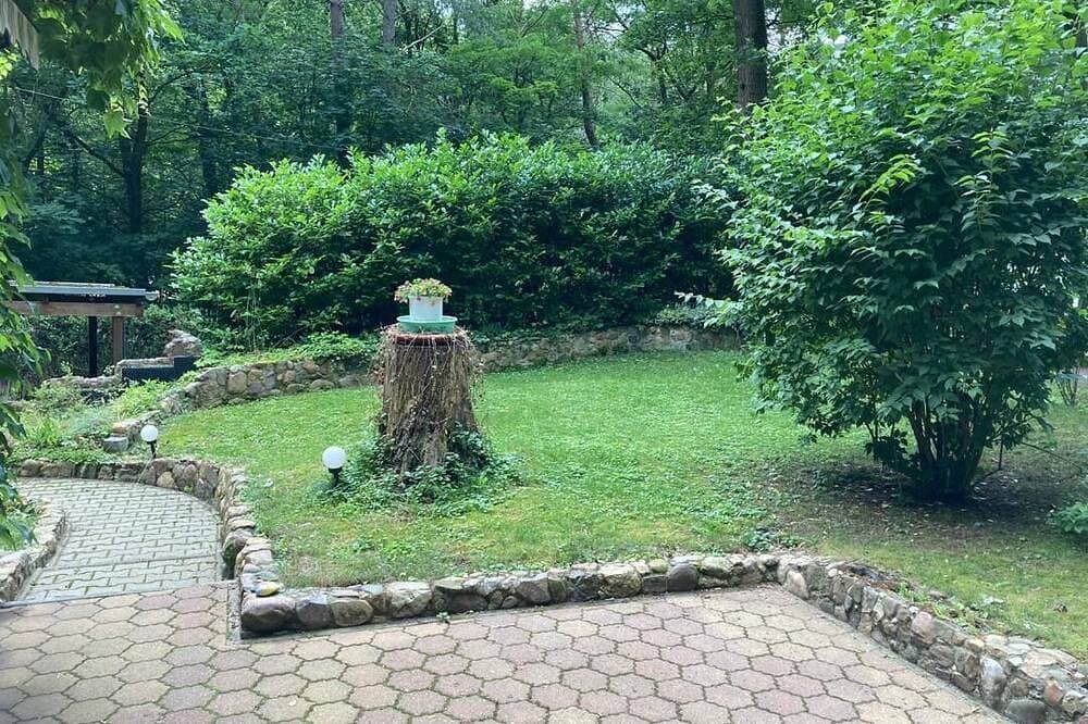 Foto 5 von 13: Haus im Wald,eigenes Grundstueck