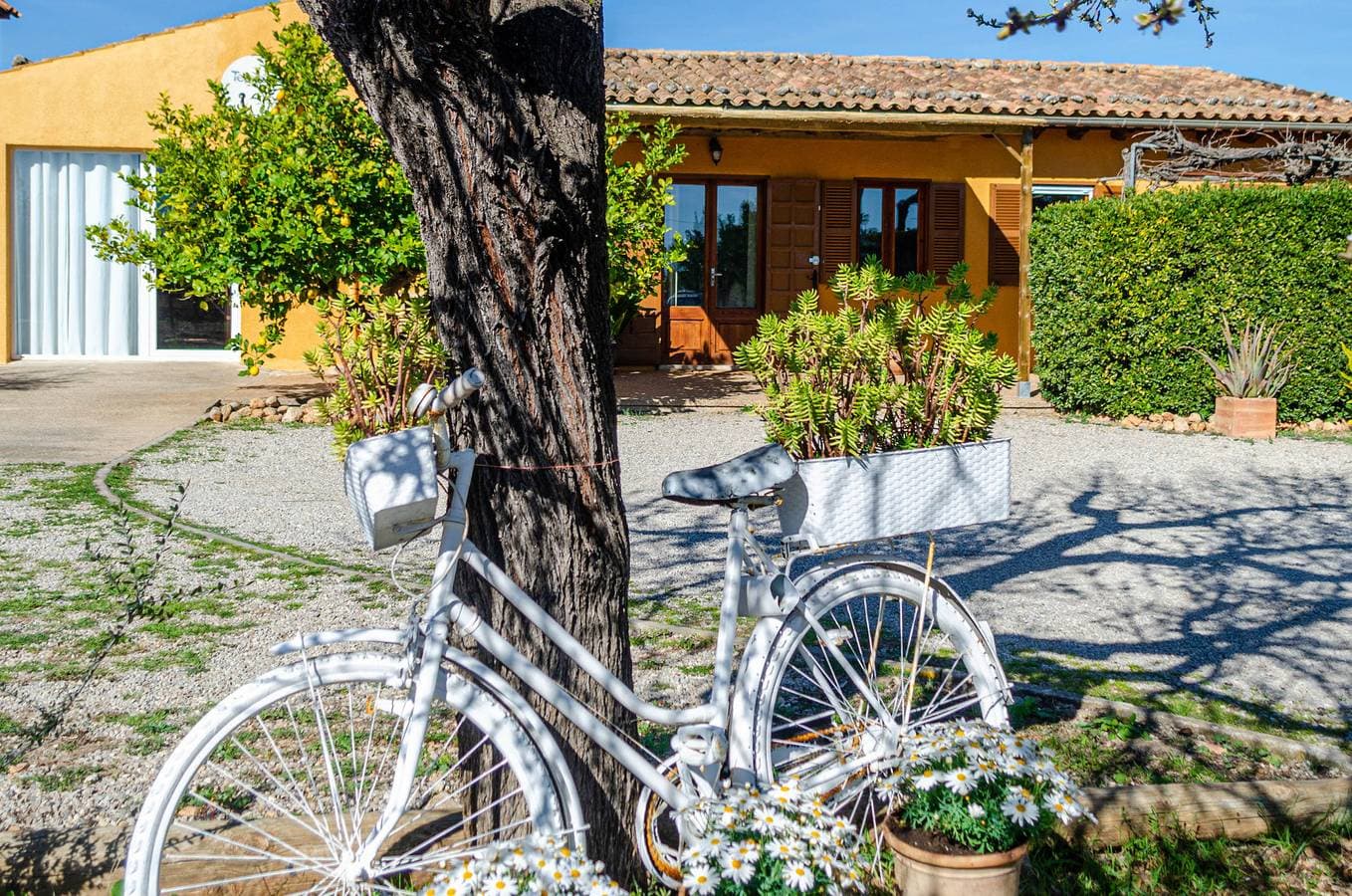 Foto 4 von 42: YourHouse Lemontree
