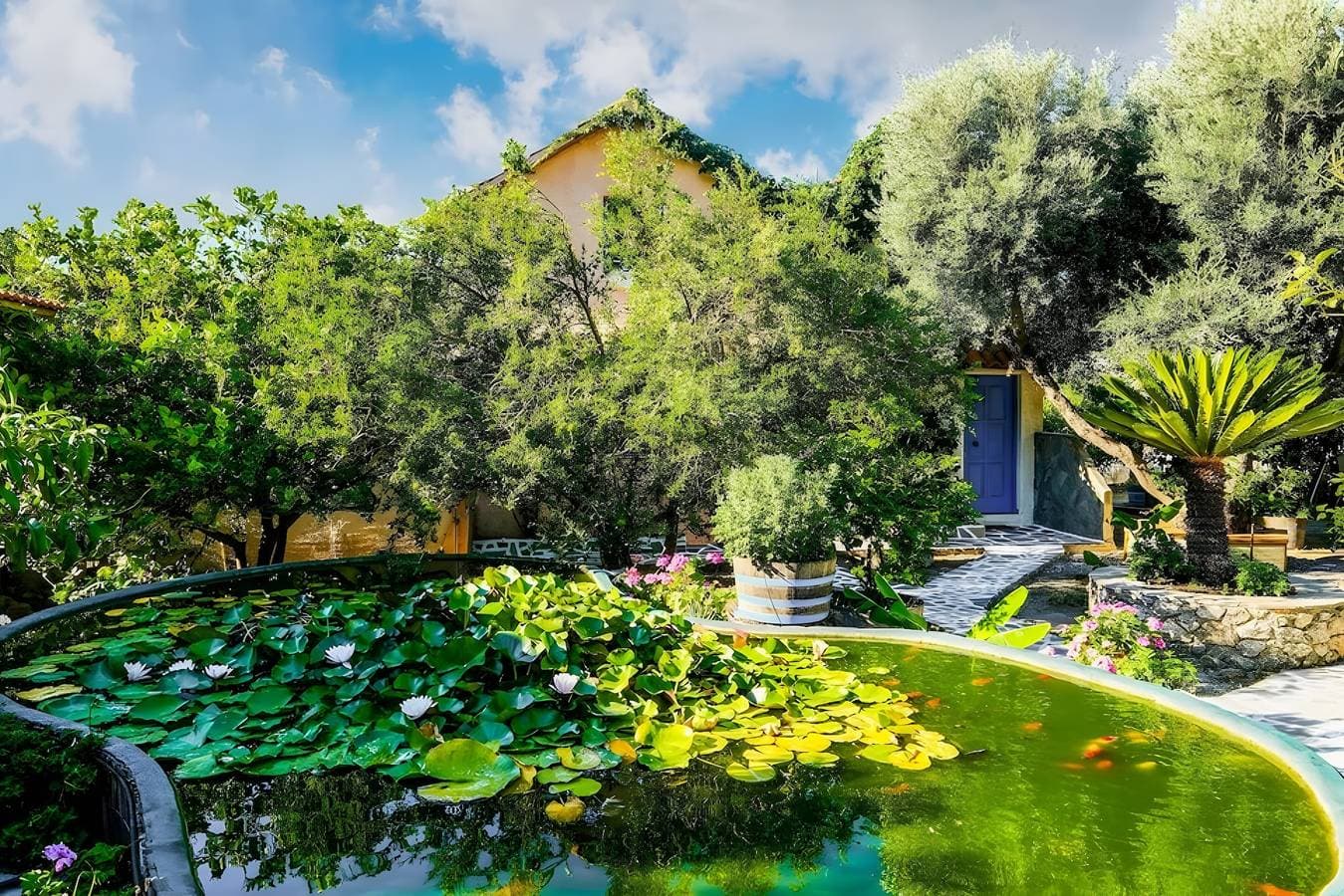 Olive tree Cottages 1